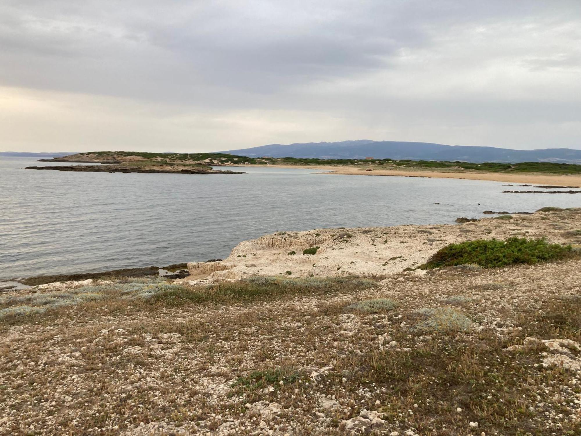 Апартаменты Fronte Mare S'Arena Scoada Путзу-Иду Экстерьер фото